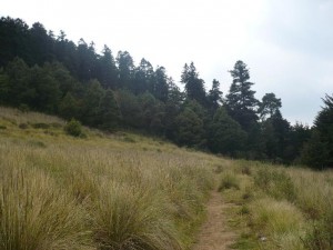  Avisos gratis en Mexico lindo en Cuajimalpa de Morelos |  OPORTUNIDAD, TERRENO EN CUAJIMALPA D.F. 4,430 M2, OPORTUNIDAD, TERRENO EN CUAJIMALPA D.F. 4,430 M2