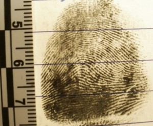 guadalajara Avisos gratis en Mexico lindo en Guadalajara |  Buro de Investigadores Privados el Espia., mensajes de texto
