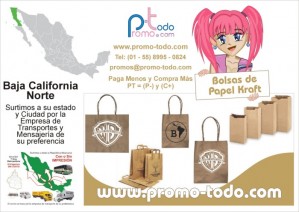 Gustavo Villegas Avisos gratis en Mexico lindo en Tijuana |  Bolsas de papel kraft, Surtimos bolsas a Baja California