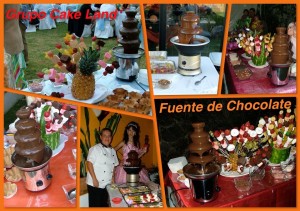 Grupo Cake Land Avisos gratis en Mexico lindo en Cuernavaca |  Fuente de chocolate con brochetas para fiestas y eventos, Chocolate, fuente con chocolate, fuente dulce, fuente para fiesta