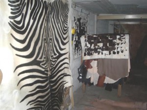  Avisos gratis en Mexico lindo en Iztacalco |  Alfombras,Alfombras de Cuero,Alfombras de Piel, Tapetes, Tapetes,Tapetes de Cuero,Tapetes de Piel,Piel de Vaca,Cuero de 