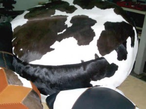  Avisos gratis en Mexico lindo en Iztacalco |  Alfombras, Alfombras de Cuero,Alfombras de Piel, Tapetes, Tapetes,Tapetes de Cuero,Tapetes de Piel,Piel de Vaca,Cuero de Res