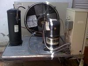  Avisos gratis en Mexico lindo en Hermosillo |  Unidad y condensador de 3 ton para cuarto frio seminuevo, listo para usarse a la de ya