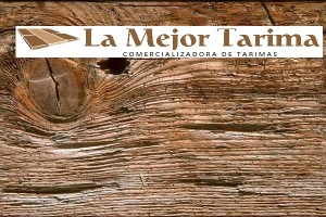 ANEL LUCIO Avisos gratis en Mexico lindo en Orizaba |  La mejor tarima/tarimas de madera en orizaba, La mejor tarima de orizaba