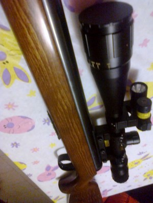 RODOLFO CHAVEZ Avisos gratis en Mexico lindo en Xalapa de Enr&iacute;quez |  Rifle de aire diana 350 magnum classic, Oportunidad