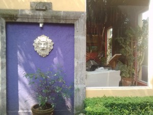 GONZALO ESCOBAR G Avisos gratis en Mexico lindo en Coyoac&aacute;n |  Lo mejor de lo mejor en zona residencial coyoacan, Lo  mejor de lo mejor zona residencial coyoacan