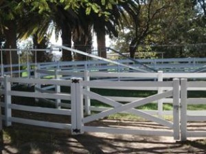  Avisos gratis en Mexico lindo en Guadalajara |  CORRALES Y CERCAS, CABALLERIZAS