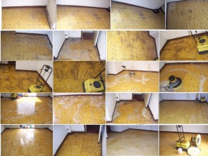 esteban Avisos gratis en Mexico lindo en Quer&eacute;taro |  Renta de pulidora de pisos o venta ezesa qro, Pulido de pisos en queretaro, pulido de piso, pulido de loceta, pulido