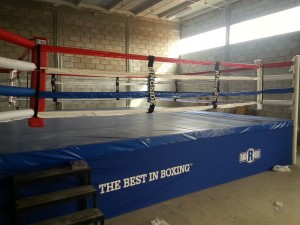 Box Corner Avisos gratis en Mexico lindo en Guadalupe |  Ring de box 6 x 6 profesional nuevo desde $54000, Rines boxeo varios precios