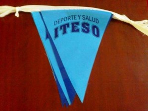 ALP MEXICO Avisos gratis en Mexico lindo en Veracruz |  Banderines para inmobiliarias con su logo y publicidad, Banderines