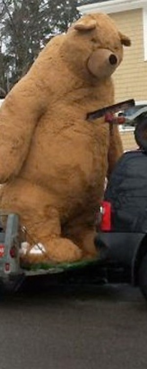 theug Avisos gratis en Mexico lindo en Pachuca de Soto |  Animales de granja de peluche gigantes figuras publicitarias especiale, Animales de granja de peluche gigantes