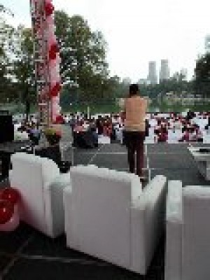 MAGIC LED WALLS Avisos gratis en Mexico lindo en Veracruz |  Cascadas con globos para eventos globos con logotipo y helio, Cascadas con globos para eventos