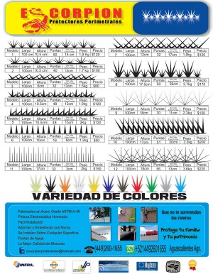 Carlos Meyemberg T Avisos gratis en Mexico lindo en Aguascalientes |  Picos para barda, protectores perimetrales, puntas, p&uacute;as, seguridad pe, Picos para barda, wall security spikes