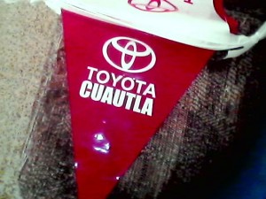ALP MEXICO Avisos gratis en Mexico lindo en Culiac&aacute;n |  Banderines con su publicidad y/o logos impresos , Banderines