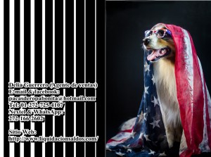 Distribuidora de Rop Avisos gratis en Mexico lindo en Progreso |  Venta de ropa americana en progreso yucatan, Ropa americana en pacas