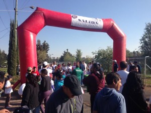 Dal promocionales Avisos gratis en Mexico lindo en Tlalpan |  Renta  de arco meta para  eventos deportivos y escolares, Renta de arcos meta para carreras
