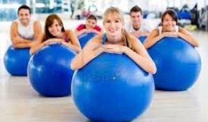 ALP MEXICO Avisos gratis en Mexico lindo en Quer&eacute;taro |  Pelotas para ejercicios de pilates nacionales e importadas, Pelotas pilates