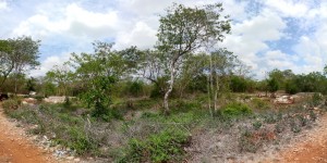 bartolo Avisos gratis en Mexico lindo en M&eacute;rida |  En venta 2 terrenos de 180m2 c/u econ&oacute;micos en m&eacute;rida, Terrenos, lotes, gratis,economicos,merida