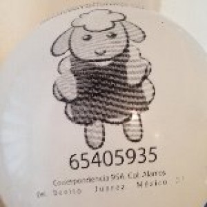 la bode Avisos gratis en Mexico lindo en Veracruz |  Divertidos globos de latex la bode 1, Venta de globos 