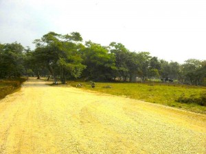 JEREBAI MORALES Avisos gratis en Mexico lindo en Tuxtla Guti&eacute;rrez |  Terrenos planos y con escritura en vid abundante, Vid abundante