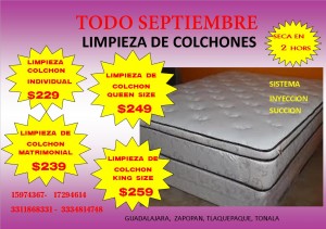 gdl clean Avisos gratis en Mexico lindo en Tlaquepaque |  Limpieza de colchones salas carros sillas alfombra, Limpieza 