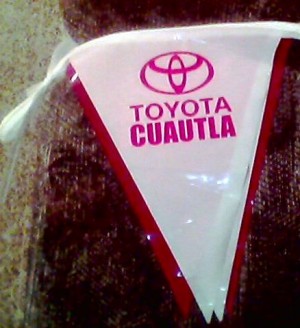 ALP MEXICO Avisos gratis en Mexico lindo en M&eacute;rida |  Banderines con logotipos y su publicidad impresa, Banderines