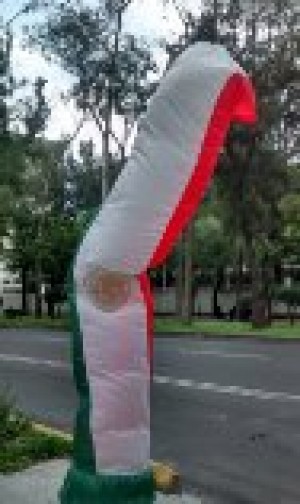 la bode Avisos gratis en Mexico lindo en Miguel Hidalgo |  Sky dancer publicitario en venta y renta a un excelente precio , Venta de sky dancer publicitario 