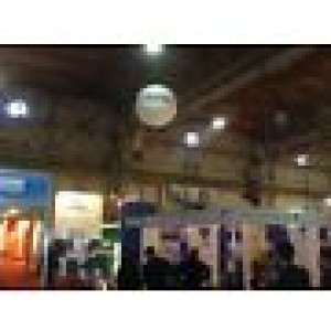 ALPMEXICO Avisos gratis en Mexico lindo en Campeche |  Venta de globos gigantes publicitarios con helio, Globos gigantes publicitarios con helio