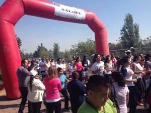 osolab Avisos gratis en Mexico lindo en Chihuahua |  Arco meta inflable personalizado a la venta , Arco meta inflable 