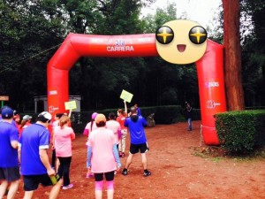 oso lab Avisos gratis en Mexico lindo en Tijuana |  Meta inflable para eventos de carreras a la venta , Meta inflable para eventos de carreras 