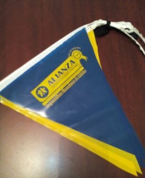 ALPMEXICO Avisos gratis en Mexico lindo en Tijuana |  Banderines para fiestas y eventos con logotipo , Banderines para fiestas y eventos