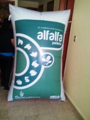 ALPMEXICO Avisos gratis en Mexico lindo en Tijuana |  Tenemos a la venta inflables gigantes publicitarios, Inflables gigantes publicitarios