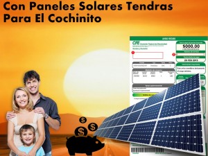 Jorge Avisos gratis en Mexico lindo en Chetumal |  Te construimos tu granja solar con paneles fotovolticas, Paneles solares
