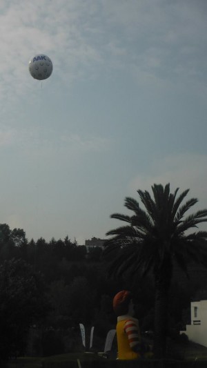 oso lab Avisos gratis en Mexico lindo en Tijuana |  Gigantes globos para helio promocionales   a la venta , Gigantes globos para helio promocionales   