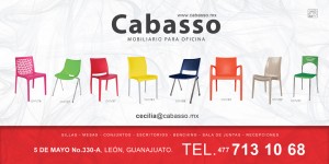 Cecilia Espinosa Avisos gratis en Mexico lindo en Guanajuato |  Promociones en sillas de visita para exterior e interior, Sillas de visita para exterior e interior