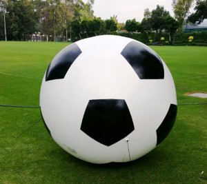 ALP MEXICO Avisos gratis en Mexico lindo en Chilpancingo de los Bravo |  Pelotas publicitarias gigantes con su logo impreso a 2 vistas, Pelotas gigantes