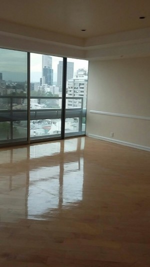 wlainmuebles Avisos gratis en Mexico lindo en Ciudad de Mexico |  Departamento avenida horacio, polanco, renta, entrega inmediata, Departamento avenida horacio, polanco, renta, entrega inmediata