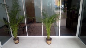 centro empresarial i Avisos gratis en Mexico lindo en Tlalnepantla de Baz |  Renta de oficinas virtuales con domicilio comercial , Renta de oficinas 