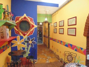 Selene Flores Avisos gratis en Mexico lindo en Ciudad de Mexico |  Habitaciones suite pet friendly rentas por semana mes o noche, Cerca de unam, barranca del muerto, coyoacan y san angel