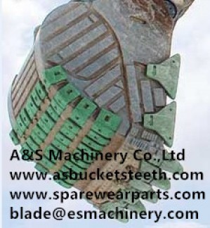 Betty Avisos gratis en Mexico lindo en Aguascalientes |  Blades/cucharones/piezas de desgaste de los cucharones para las terex(, Blades/cucharones/piezas de desgaste de los cucharones para las terex(