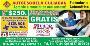 yareli terrazas Avisos gratis en Mexico lindo en Cosal&aacute; |  Clases de manejo en tan solo una semana , Clases y cursos de manejo