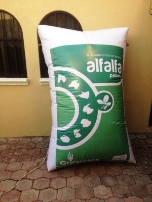 ALP MEXICO Avisos gratis en Mexico lindo en Corregidora |  Inflables gigantes publicitarios con logos y publicidad impresa, Inflables gigantes