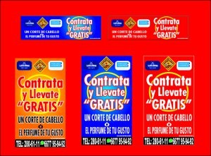 yareli terrazas Avisos gratis en Mexico lindo en Cosal&aacute; |  Clases de manejo en autoescuela de manejo culiacan, Cursos de manejo 