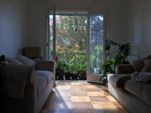 Romina Avisos gratis en Mexico lindo en Ciudad de Mexico |  Departamento en hip&oacute;dromo condesa excelente ubicac�on muy bonito, Departamento en hip&oacute;dromo condesa 