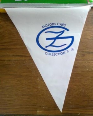 ALP MEXICO Avisos gratis en Mexico lindo en Pachuca de Soto |  Banderines triangulares, rectangulares, &oacute; en forma de escudo, Banderines