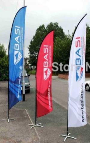 ALP MEXICO Avisos gratis en Mexico lindo en Hermosillo |  Flag banners o banderas publicitarias con impresiones, Banderas publicitarias