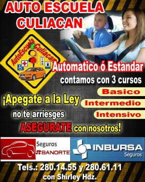BRICEIDA GUZMAN Avisos gratis en Mexico lindo en Sinaloa |  Aprende a conducir ya!autoescuela culiacan tu mejor opcion, Aprobechas las grades pormociones que autoescuela culiacan te ofrece