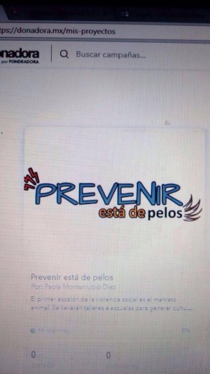 Paola Monterrubio D& Avisos gratis en Mexico lindo en Pachuca de Soto |  Apoya campa&ntilde;a taller prevenir est&aacute; de pelos, Taller para prevenir violencia contra animales