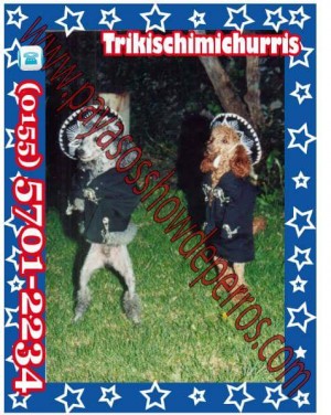 cinty Avisos gratis en Mexico lindo en Iztacalco |  Show de payasos con show de perritos, Payasos para fiestas infantiles,show de perritos,show de payasos