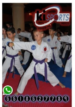 Miranda Avisos gratis en Mexico lindo en Azcapotzalco |  &iquest;quieres entrenar karate do? ven con nosotros!, Karate coyoacan